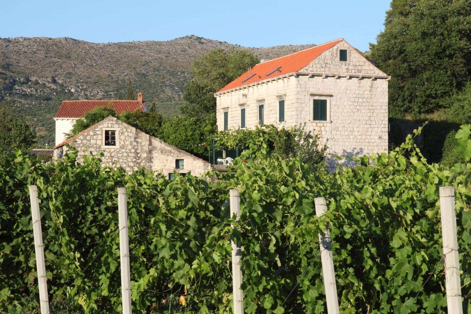 Villa Violic Zaton  Dış mekan fotoğraf