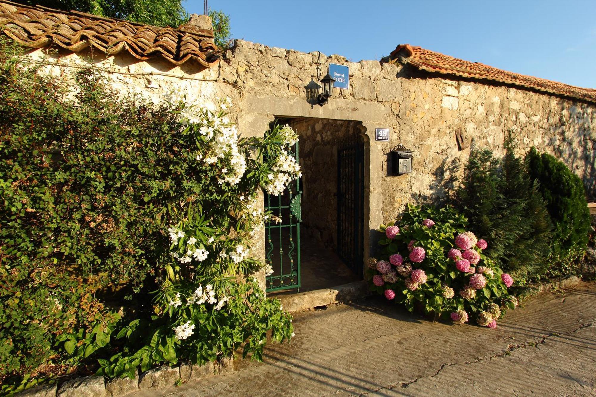 Villa Violic Zaton  Dış mekan fotoğraf