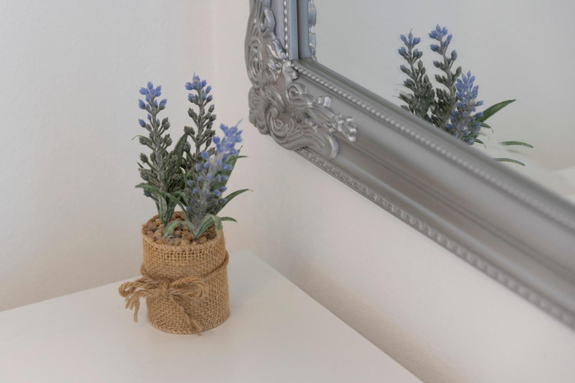 Villa Violic Zaton  Dış mekan fotoğraf